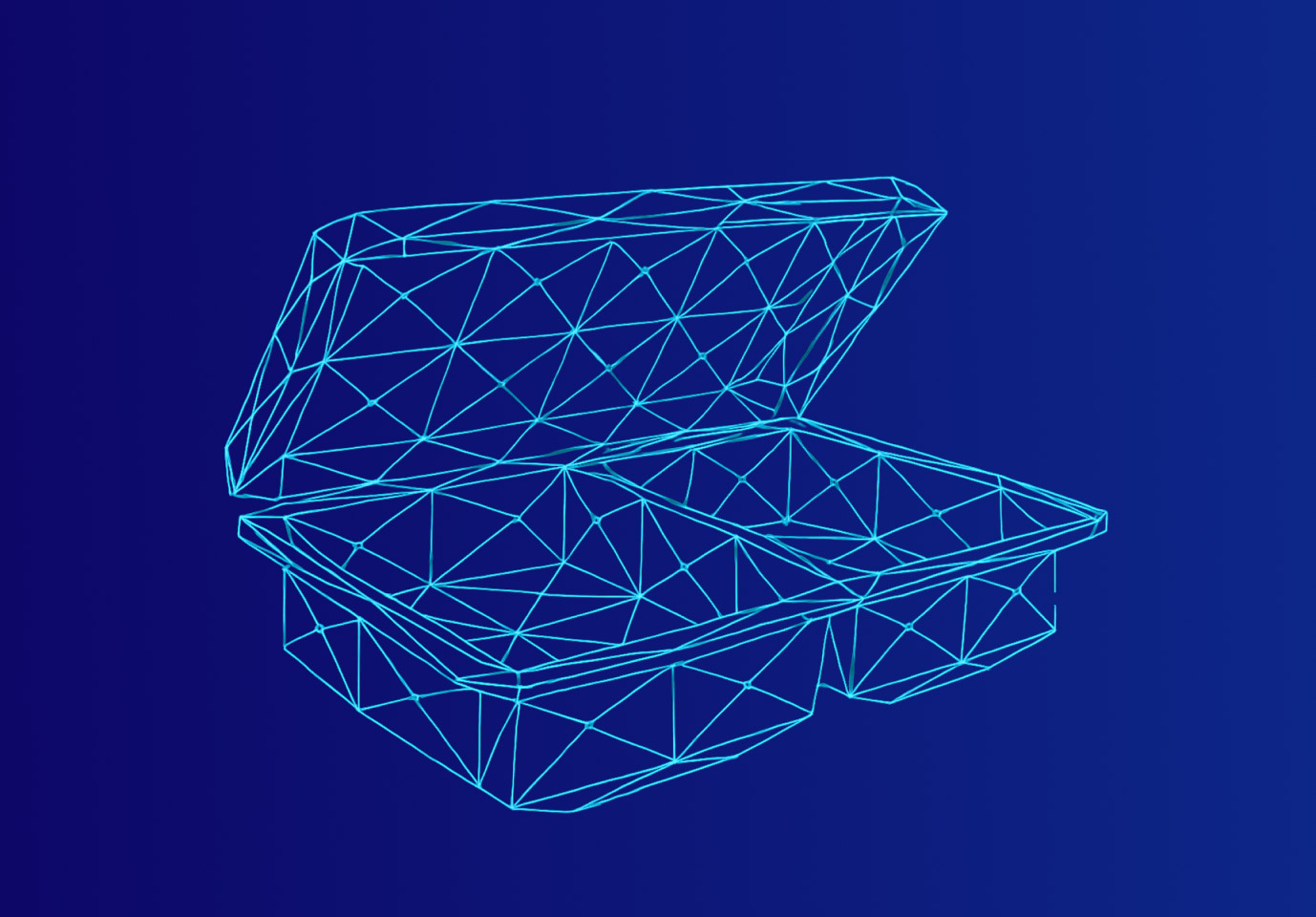 PACKAGING wireframe